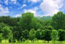 आज मनाया जा रहा अर्थ आवर डे, उत्तराखंड में रात 8:30 से 9:30 तक गैर-ज़रूरी लाइटें बंद रखने की अपील